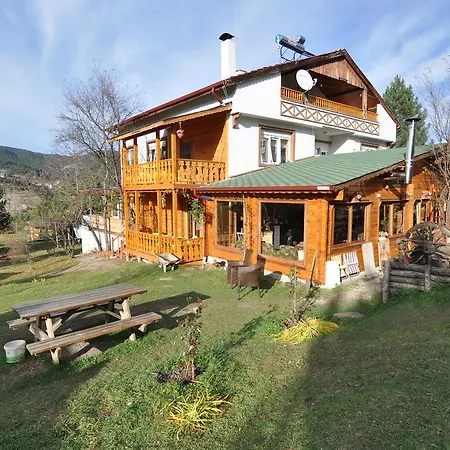 Nesilce Tatil Koeyue Mengen