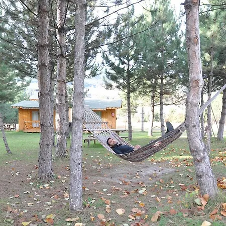 게스트하우스 Nesilce Tatil Koeyue 3*