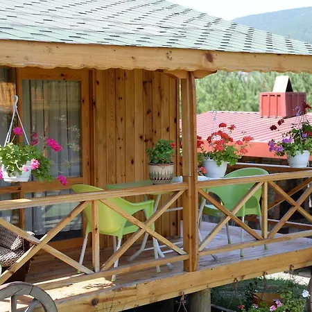 Nesilce Tatil Koeyue Mengen