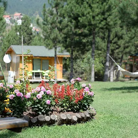 Nesilce Tatil Koeyue 3*