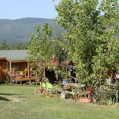 게스트하우스 Nesilce Tatil Koeyue 3*