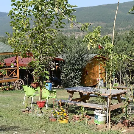 게스트하우스 Nesilce Tatil Koeyue Mengen