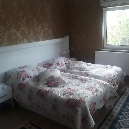 Nesilce Tatil Koeyue 게스트하우스